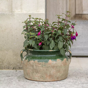 Grand Illusions Terracotta Pot Green